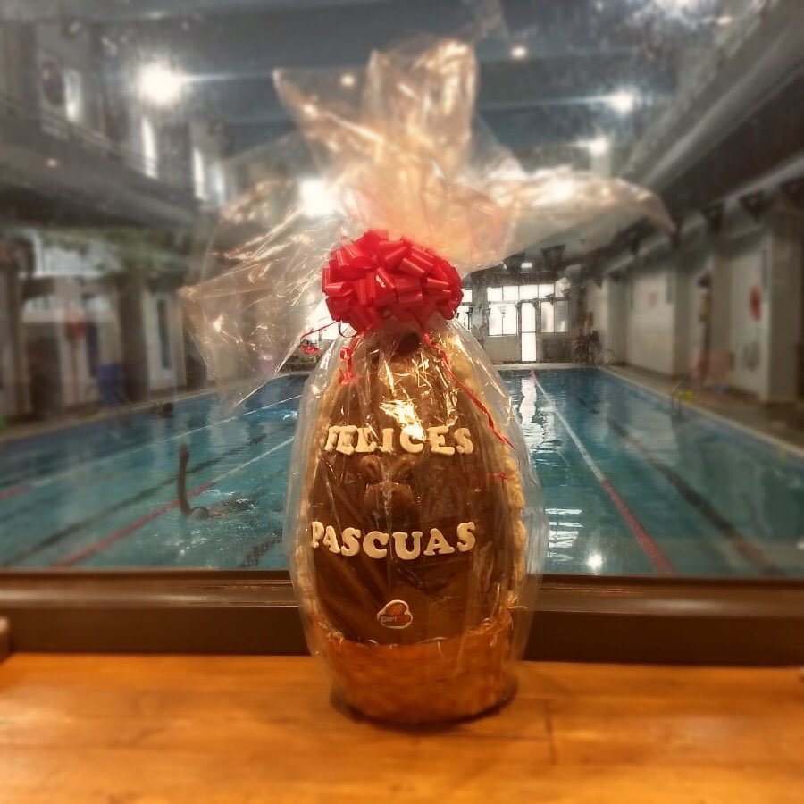 SC_Paraguay's tweet photo. 🐰SORTEO PASCUAS🐰

Estas pascuas sorteamos este Super Huevo para todos los socios de Sport Club Paraguay 🙌🏼
  Date tu permitido y asóciate con nosotros 🍫😋

❗️Sorteamos este sábado al mediodía 🕛 https://t.co/ytjK6FZiNA