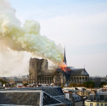 Visualizza l'immagine su Twitter