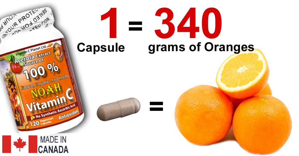 VitaminCPlane's tweet photo. 1 = 340 !
The Vitamin C content of One NOAH Vitamin C capsule equals the Vitamin C content of 340 grams of Oranges!
NOAH Vitamin C is 100% Natural, Organic, and Healthy
Go Organic, Live Healthy
#organic #natural https://t.co/SNuDNQloOy