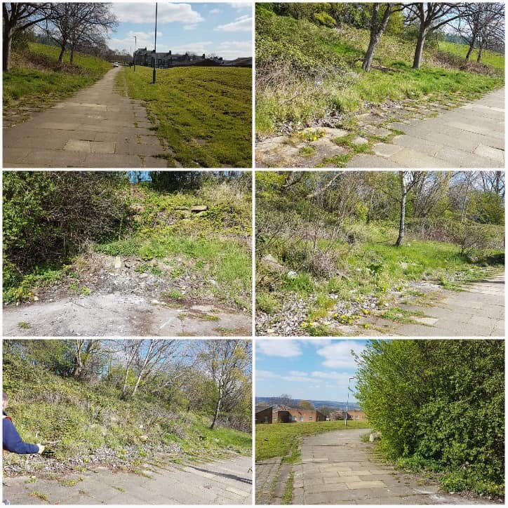 ishaqshafiqs's tweet photo. Amazing work pictures from the #GBSpringClean in partnership with #Volunteers #InCommunities in Hendford Drive in #BD3.  

Over 40 bags gathered, trees cut, fly tipping removed and lots more.

#ProudOfBD3 #TeamBradfordEast #PeopleCanMakeADifference https://t.co/DNbLr7sTTV