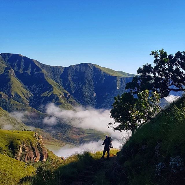 brooke_nolan's tweet photo. Well, our plan to complete the Drakensburg Grand Traverse might not have worked out thanks to illness and injury. But on the plus side, I couldn't think of anyone better to have hatched an escape plan with than @endless.traveller.
.
.
.
.
#drakensburg #s… https://t.co/MtINKRkcan https://t.co/8QPlfoKKSL