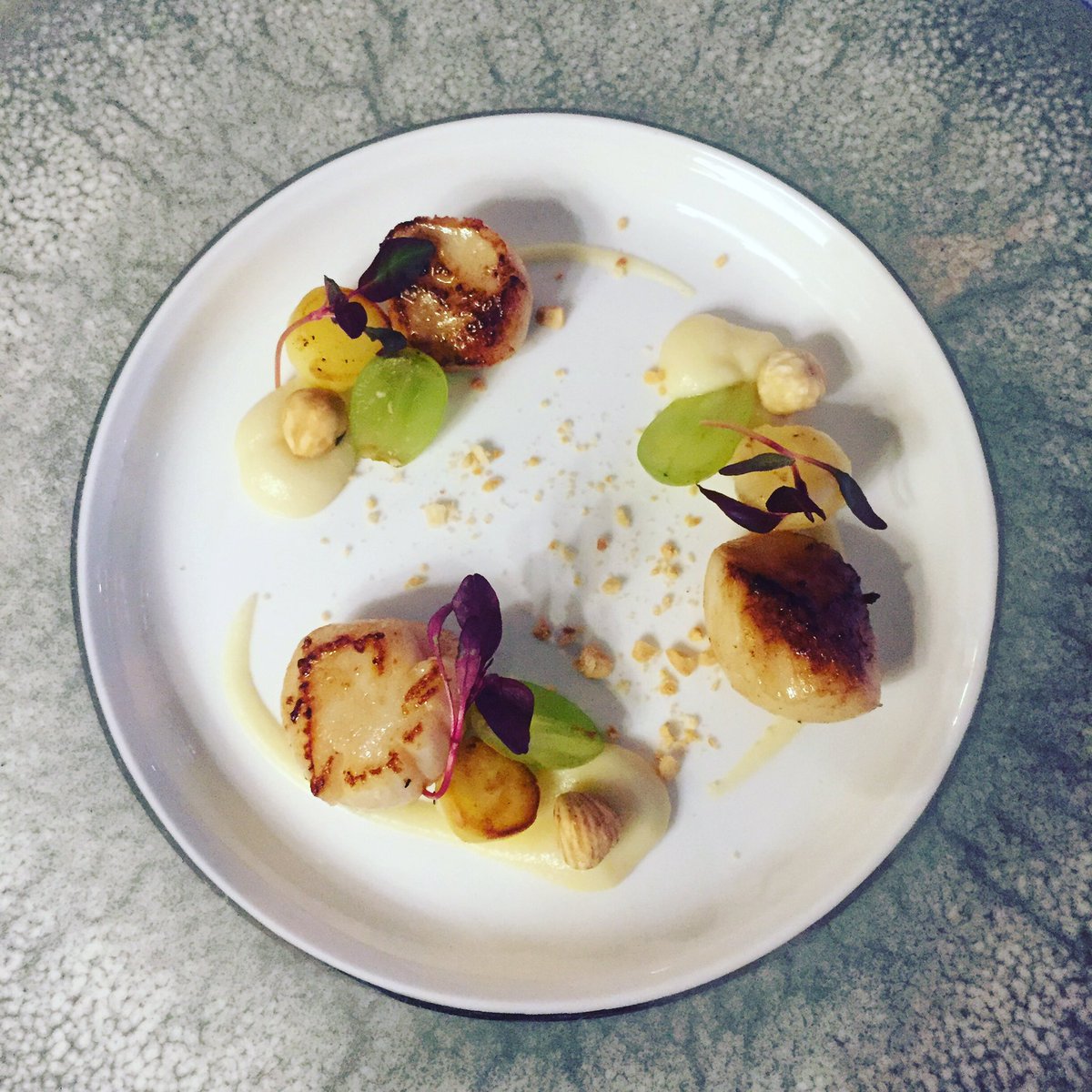 InMyKitchen0's tweet photo. Hand-dived Guernsey scallops with celeriac, salted grapes and hazelnuts @SarkHotel #foodporn #visitsark https://t.co/d48ahVizBw