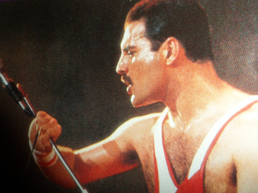 mercurysarchive's tweet photo. Freddie Mercury on stage in Sydney in 1985. 
#FreddieMercury https://t.co/gyJwsXkkdI