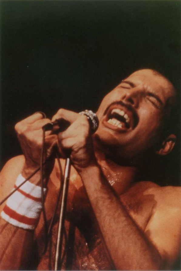mercurysarchive's tweet photo. Freddie Mercury on stage in Sydney in 1985. 
#FreddieMercury https://t.co/gyJwsXkkdI