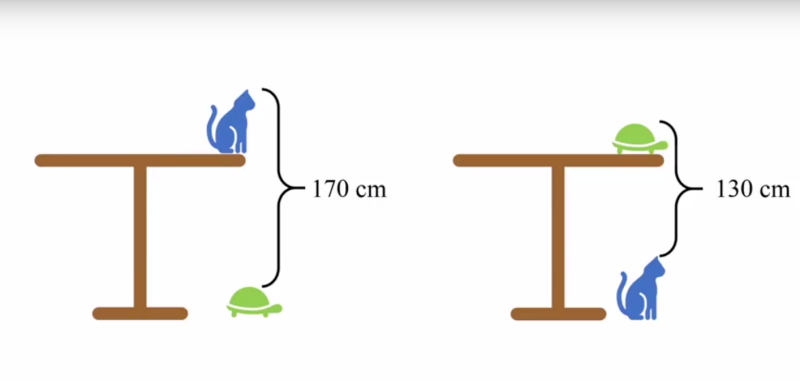 aprende_mats's tweet photo. ¿Cuánto mide la mesa?
Animaos a resolver el famoso reto de la tortuga, el gato y la mesa. Os dejo una encuesta abajo con algunas opciones: https://t.co/FkjB2hqfjH