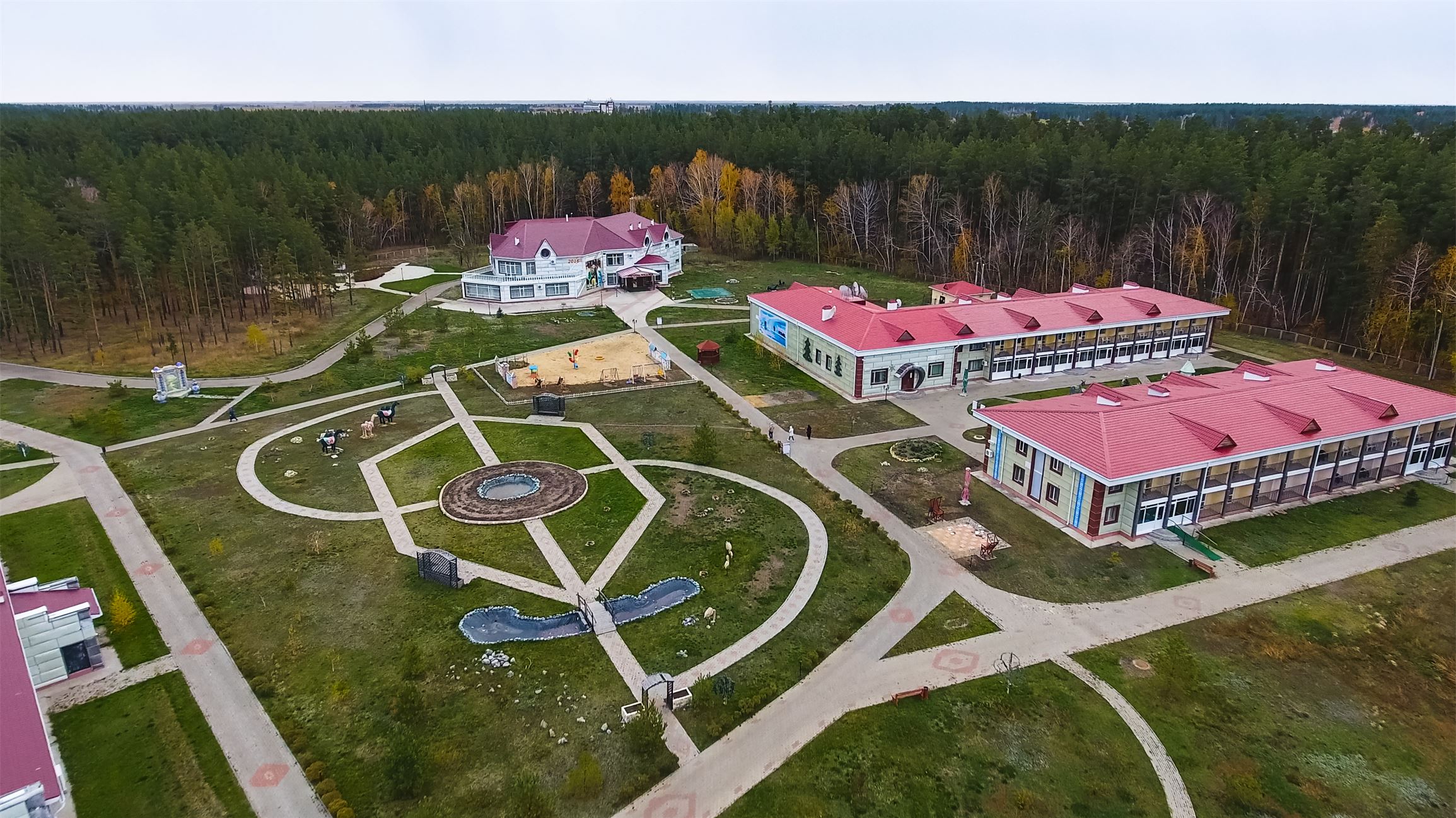Сосновый Бор Костанай лес