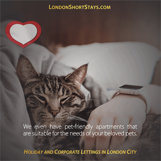 LondonShortStay's tweet photo. We love our furry friends as much as you do. We know how much you hate to leave them behind...😭. So, we have pet-friendly #servicedapartments to cater for them. 
.
.
Amazing pet-friendly 2 Bedroom Flat in Bayswater, London https://t.co/edQjL8IjOm 😉😉😎 https://t.co/kY6A6kSTIS