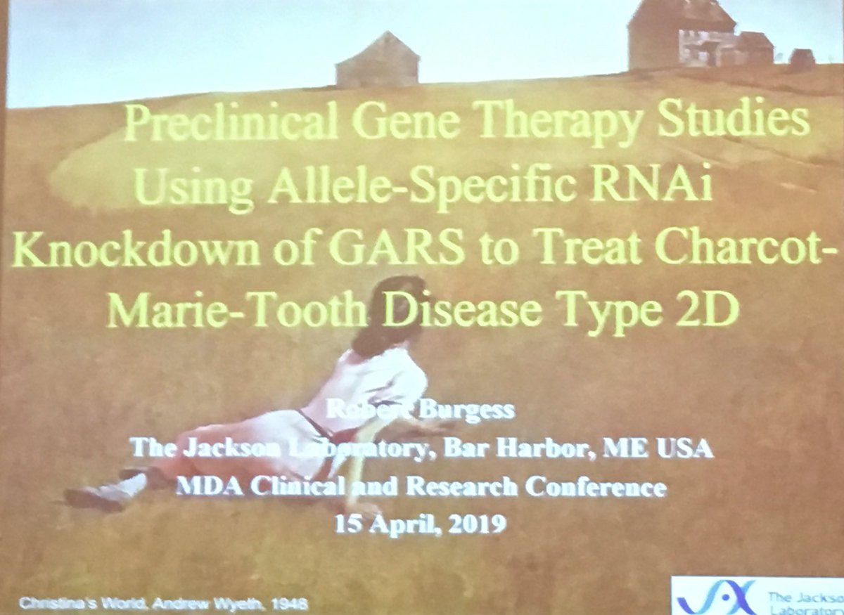 CoxLabJAX's tweet photo. A great talk by our @jacksonlab neighbor Rob Burgess on #CMT2D gene therapy work done by @khmorelli who is now part of the @yeo_lab #MDAConference https://t.co/Fd2O93stXK