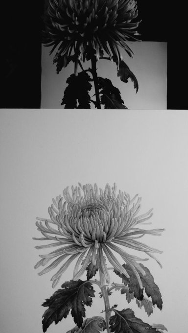 いつも思う事です。描き終わる頃に現物はボロボロになっており、逆に命を吸い取ったかのように活き活きとした花が画帳に咲き誇っていてなにかエネルギーのようなものが転移した感があります。

ノートルダム大聖堂。再建に向けて改めて人々の魂が一つとなることで新しいエネルギーが産まれますように。 