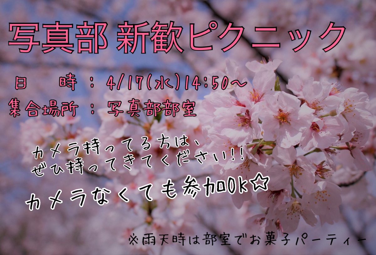 明日、4/17(水)は新歓お菓子パーティーの日です!!!
佐賀城付近でピクニックを企画しています🌸
参加希望者は14:50までに部室に集合してください!!
カメラ持ってる人はぜひ持ってきてください📷
3限授業なくて暇だよ〜って人は、12:00から部室でお菓子パーティーしてるので、遊びに来てください!!