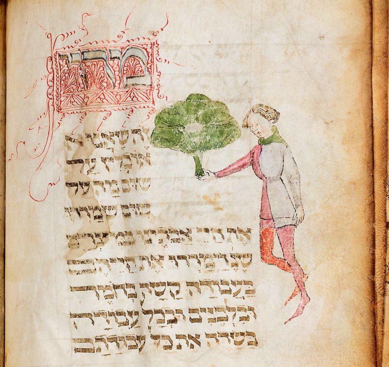 One more: "Marror (Bitter herb), that which we eat, for what reason?" and a wonderful article at  @atlasobscura. https://www.atlasobscura.com/articles/passover-haggadah-medieval-italy.amp?__twitter_impression=true