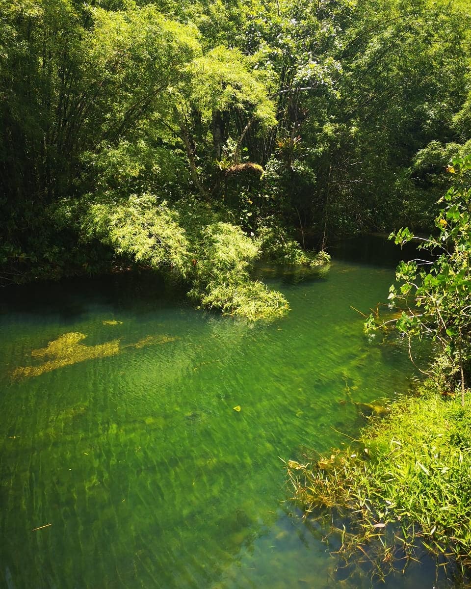 mccdtt's tweet photo. Winding slowly through the northern range, the Marianne river winds it's way till it meets the coastline itself. One of the major villages the river runs through is Blanchisseuse, bringing both water and visitors to the coastline fishing community. #tourismtt #explore100 https://t.co/0RRIRofYZS