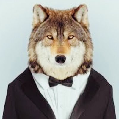 Al3jandroCh's tweet photo. #NuevaFotoDePerfil Salía mejor con un smoking azul ; pero Preferí subir el negro. https://t.co/lpaW5EqBRg