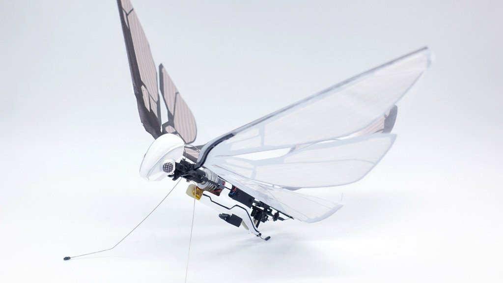 crowdfundedco's tweet photo. MetaFly | A New Flying Experience.
https://t.co/bOvhaBiXp4
@kickstarter @indiegogo @crowdfundedco #rcplane #rc #rccar #drone #rcboat #hobby #plane #fpv #drones #crowdfunding #kickstarter #toystore #boardgames #puzzles #slotcarracing #slotcartrack https://t.co/7phP91Kdfz