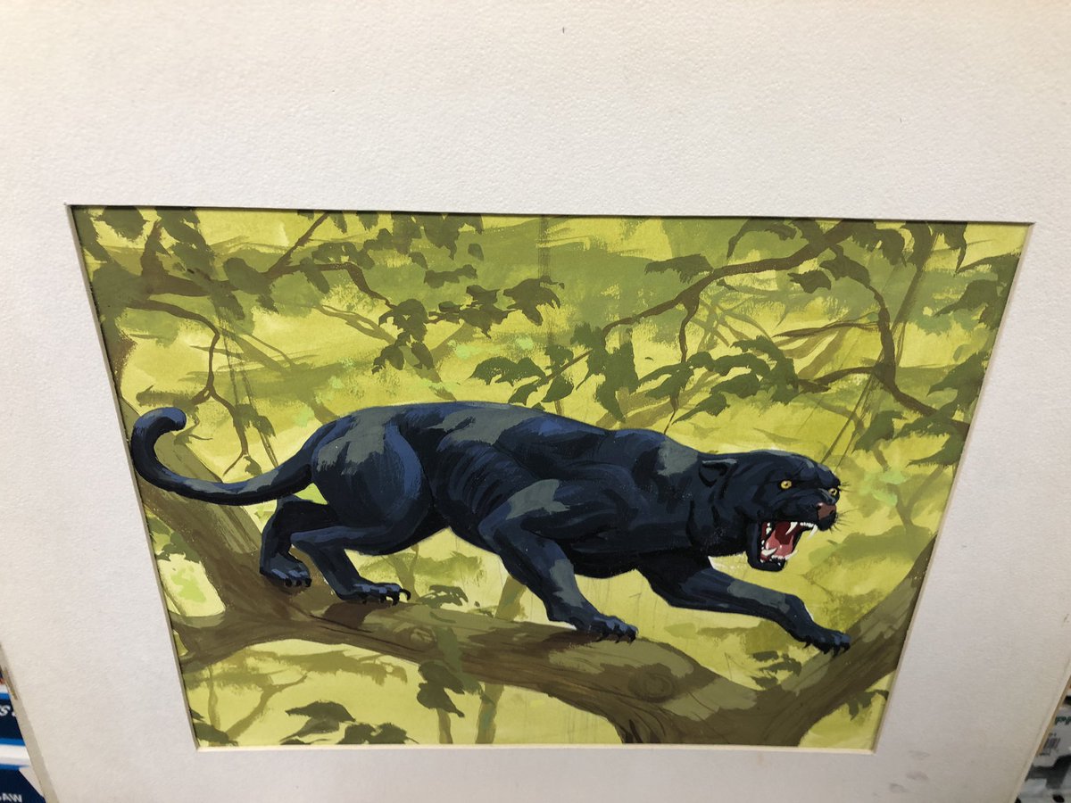 Rbargainhunters's tweet photo. So I just bought some #original John steel #Revell original box art from a 40 year Revell employee that worked In marketing also got some rare #starwars stuff #storeagewars #youtube #interview #video coming. Anybody have any info n the artwork he called them #artist comps #value https://t.co/ay33V0S1G4