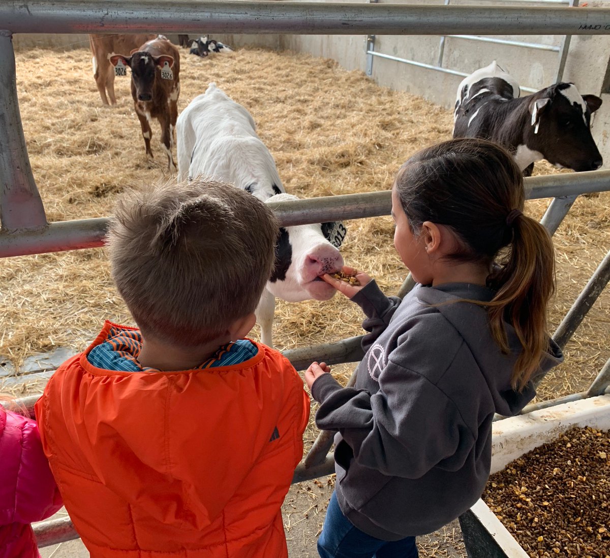 ORDeptAg's tweet photo. Thank you to all the farms, ranches, and other agribusinesses that open their doors to the public, teaching us where our food comes from and how wonderfully diverse Oregon's agriculture really is💐🐮🐷🥛🐔🍇 #mondaythoughts . https://t.co/D4TJW2Ym12