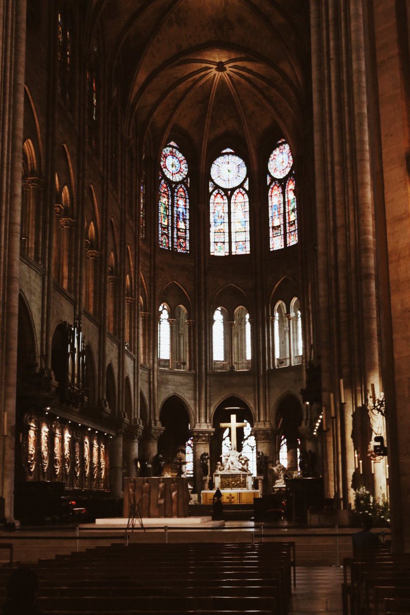 Crazy how something so beautiful is gone so fast. Glad I got to see it once. Praying for u Paris ❤️