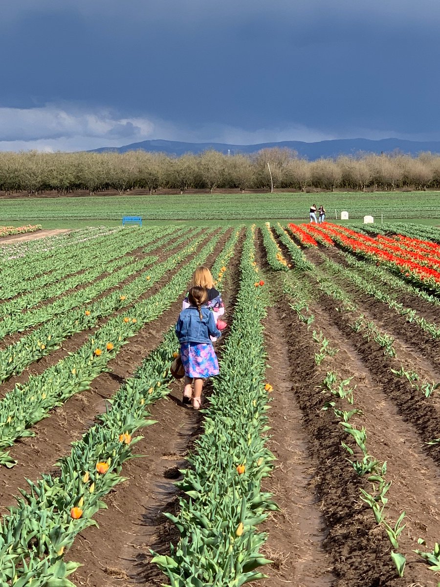 ORDeptAg's tweet photo. Thank you to all the farms, ranches, and other agribusinesses that open their doors to the public, teaching us where our food comes from and how wonderfully diverse Oregon's agriculture really is💐🐮🐷🥛🐔🍇 #mondaythoughts . https://t.co/D4TJW2Ym12