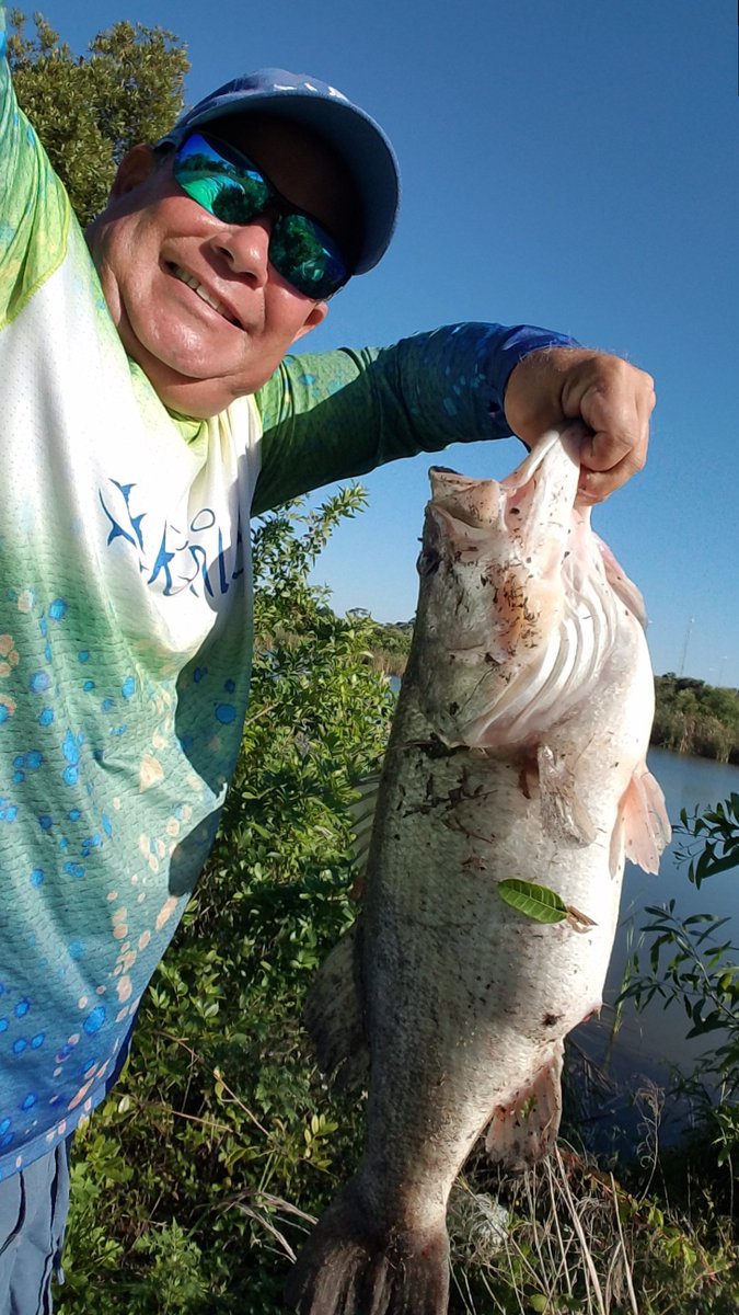 XpressExpert's tweet photo. Rise and shine, it's freshwater fishing time! #bass #largemouthbass  #freshwaterfishing #floridabassfishing #fishing #Bassfishingdads #FortMyers  #Northfortmyers #lakefishing #bassin #bassanglars #bassfishing https://t.co/lJSC1JRybr