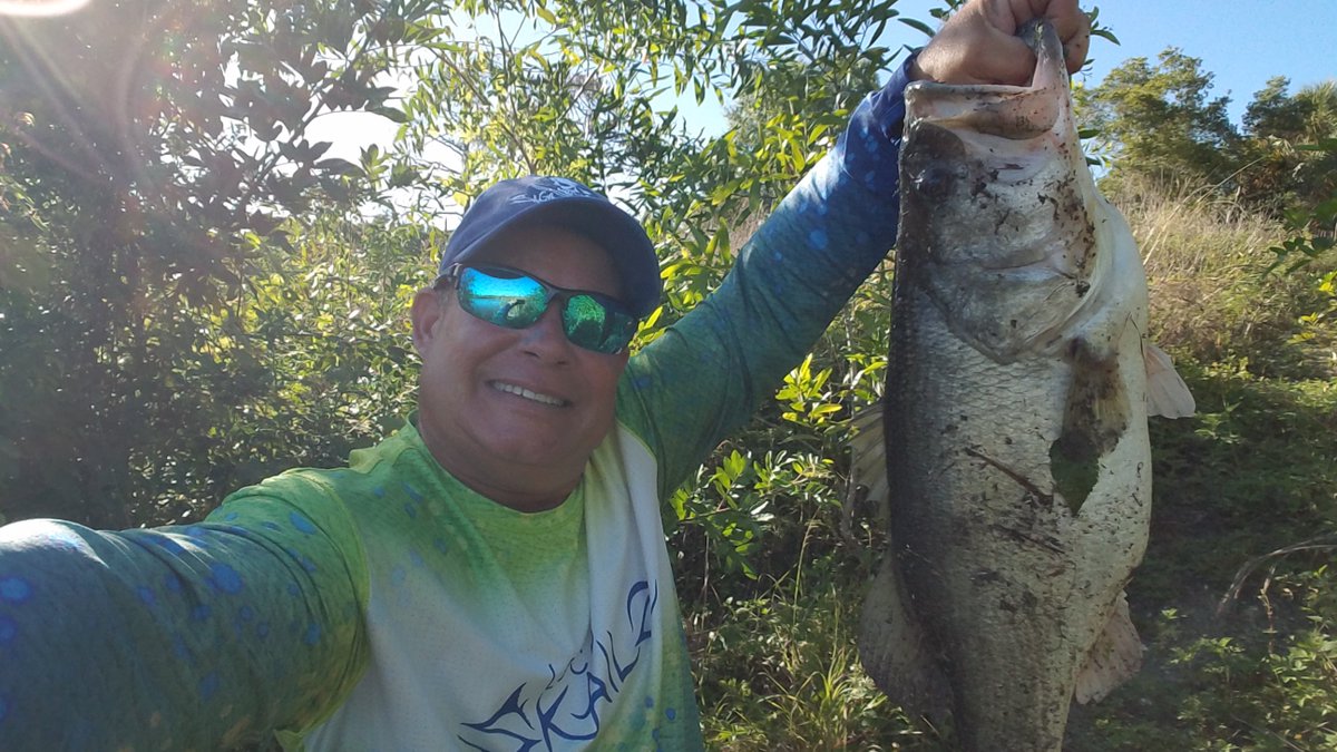 XpressExpert's tweet photo. Rise and shine, it's freshwater fishing time! #bass #largemouthbass  #freshwaterfishing #floridabassfishing #fishing #Bassfishingdads #FortMyers  #Northfortmyers #lakefishing #bassin #bassanglars #bassfishing https://t.co/lJSC1JRybr