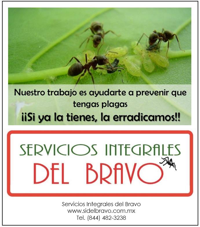 BlogShopMexico's tweet image. Nuestro Cliente ubicado en Saltillo, Coah., Servicios Integrales del Bravo le ofrece la solución en el manejo integrado contra Plagas Urbanas. #ERRADICAMOSPLAGASDEINSECTOSYROEDORES #AMPLIAEXPERIENCIA #SEGURIDADTOTALENTUCASAONEGOCIO #GARANTIATOTAL