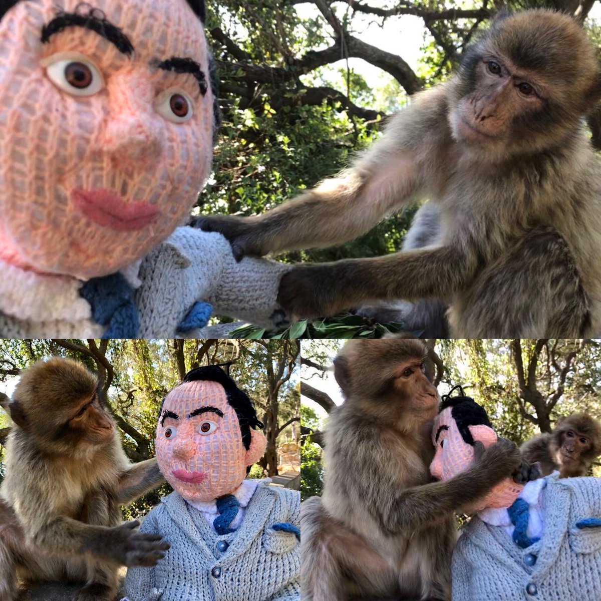 I’m in Gibraltar, the locals are very friendly. I said no monkey business but they wouldn’t listen.