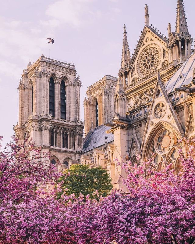 lavieimiitelart's tweet photo. Notre Dame de Paris ❤️ https://t.co/4gDKQxRmZl