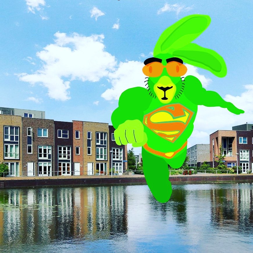 De super haas is gearriveerd in #terwijde #leidscherijn #craftbeer terwijdebier.club/product/super-…