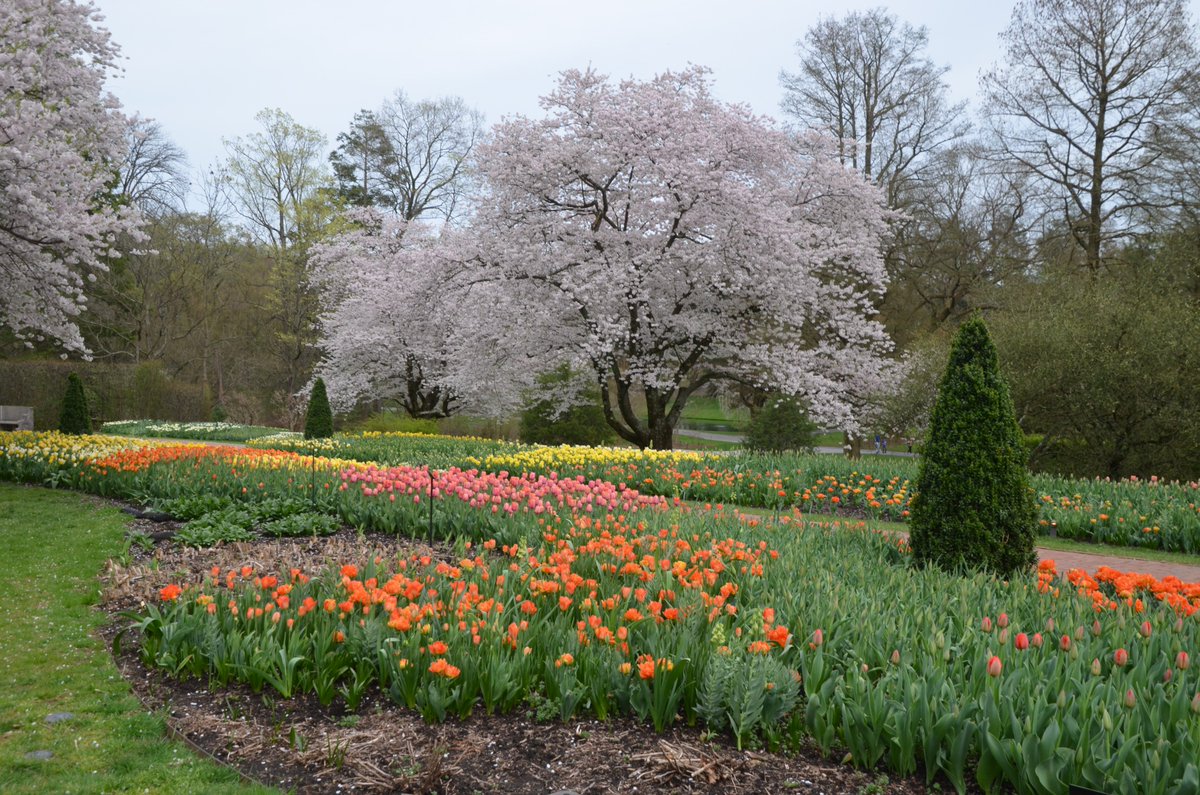 Longwood Gardens On Twitter A Riot Of Color Has Arrived In Our