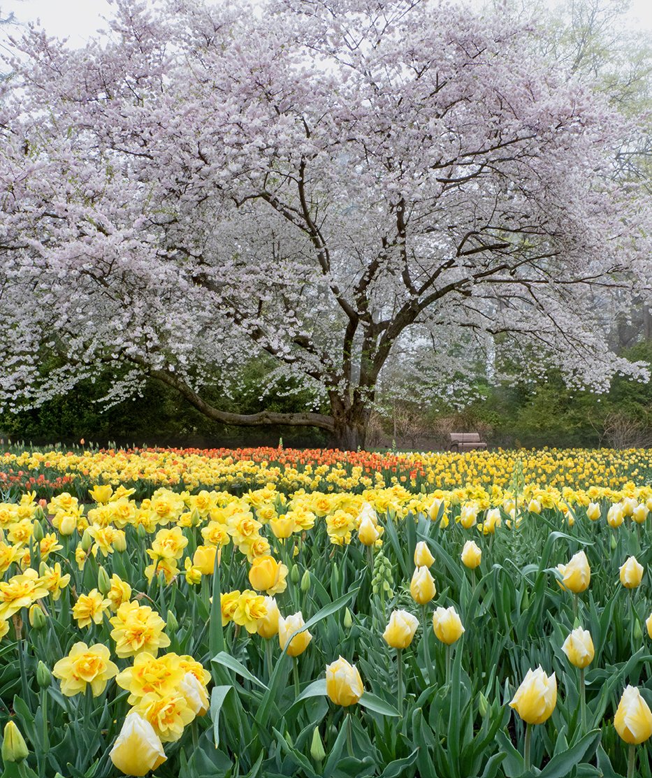 Longwood Gardens On Twitter A Riot Of Color Has Arrived In Our