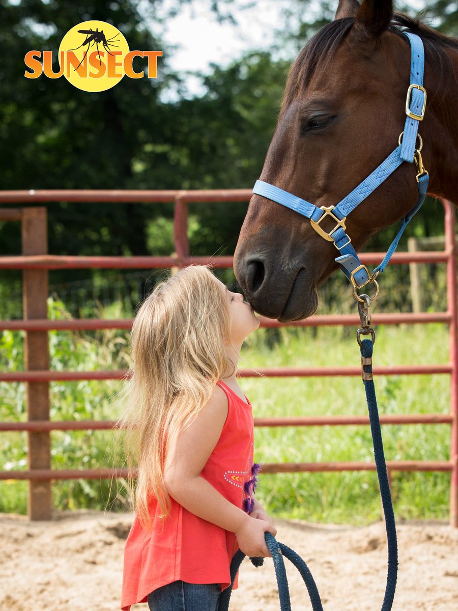 Sunsect15's tweet image. “As long as I am breathing, in my eyes, I am just beginning.” 
― Criss Jami
#Sunsect