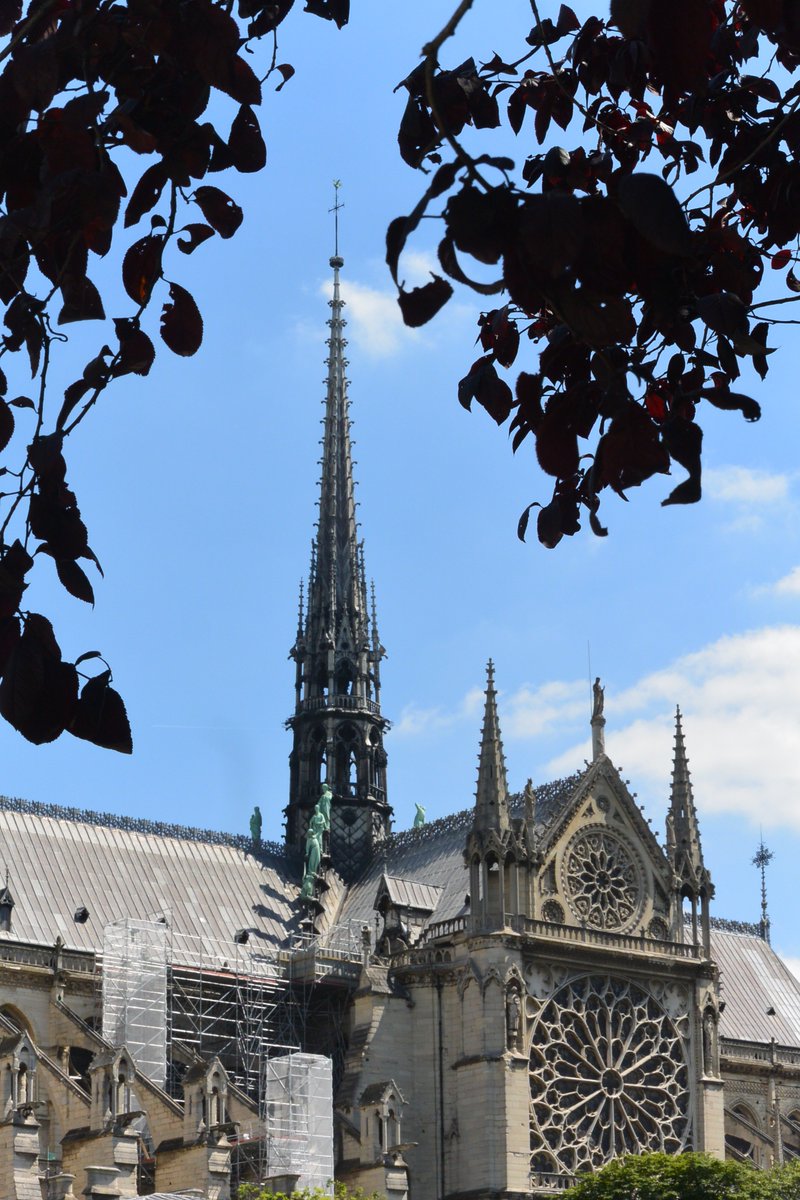 sheribranson's tweet photo. If you've ever been to #paris than this exquisite #gothic lady has likely made an impact big or small upon you. I will never forget scaling the roof with my beloved #arthistory professor Dr. Kostuch. Deeply saddened for the people of #paris and the world's loss today. #notredame https://t.co/L5AwvYUZox
