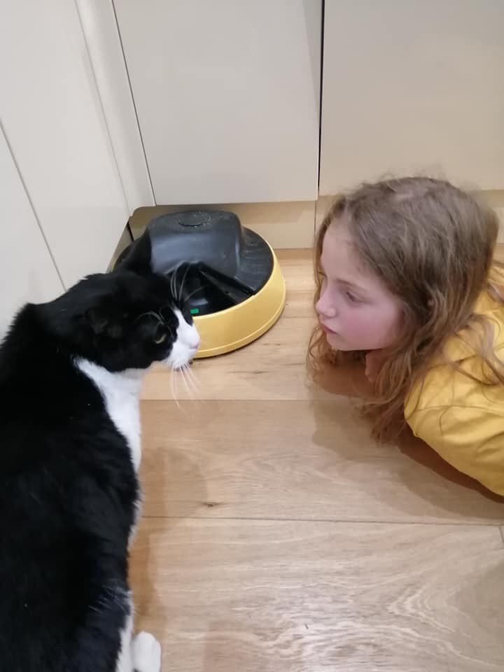 StepWithKyra's tweet photo. It's been a week of sad goodbyes to friends, family and colleagues. Thanks to everyone who's wished us well, made cards and given us hugs full of love. There was a sad goodbye for the cat too, we're grateful for Nicola and James looking after him whilst we're gone. #StepWithKyra https://t.co/euKNuU509h
