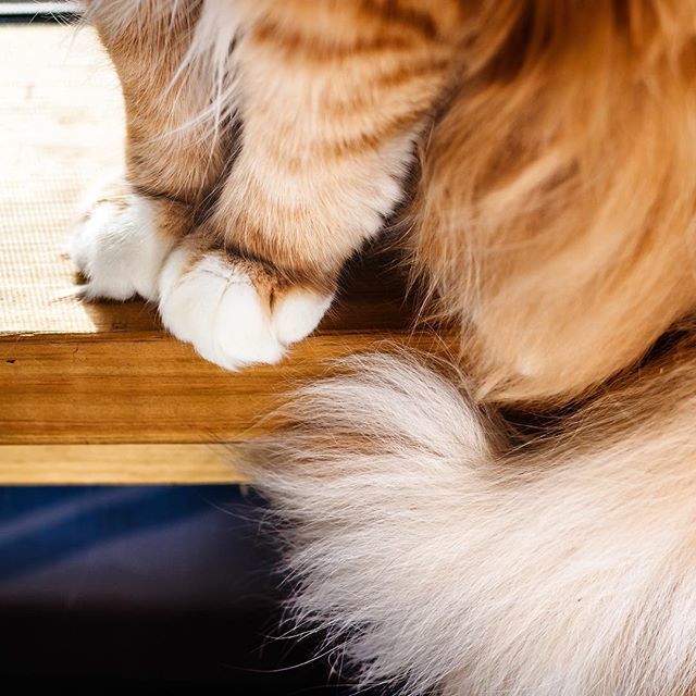 RCGeorge's tweet photo. Part 3 (cont’d from the previous two posts)

oh y’all, these little feet…

The number of times they have patted my face.

The times they’ve carried him straight to a crying child to try to comfort them.

The way they hold a little fistful of my shirt… https://t.co/tXb7n9VcnQ https://t.co/Ruid8Ow63h