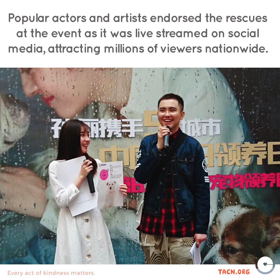 tacnofficial's tweet photo. Isn’t this amazing! The Adoption Day has not only been giving adoptable pets a place to be promoted, it has also been acting as an educational platform for responsible pet ownership in China 🇨🇳
(Source: Xinhua News)
#animalwelfare #china #adoptionday #adoptdontshop #dog #cat https://t.co/Td52GGrOCX