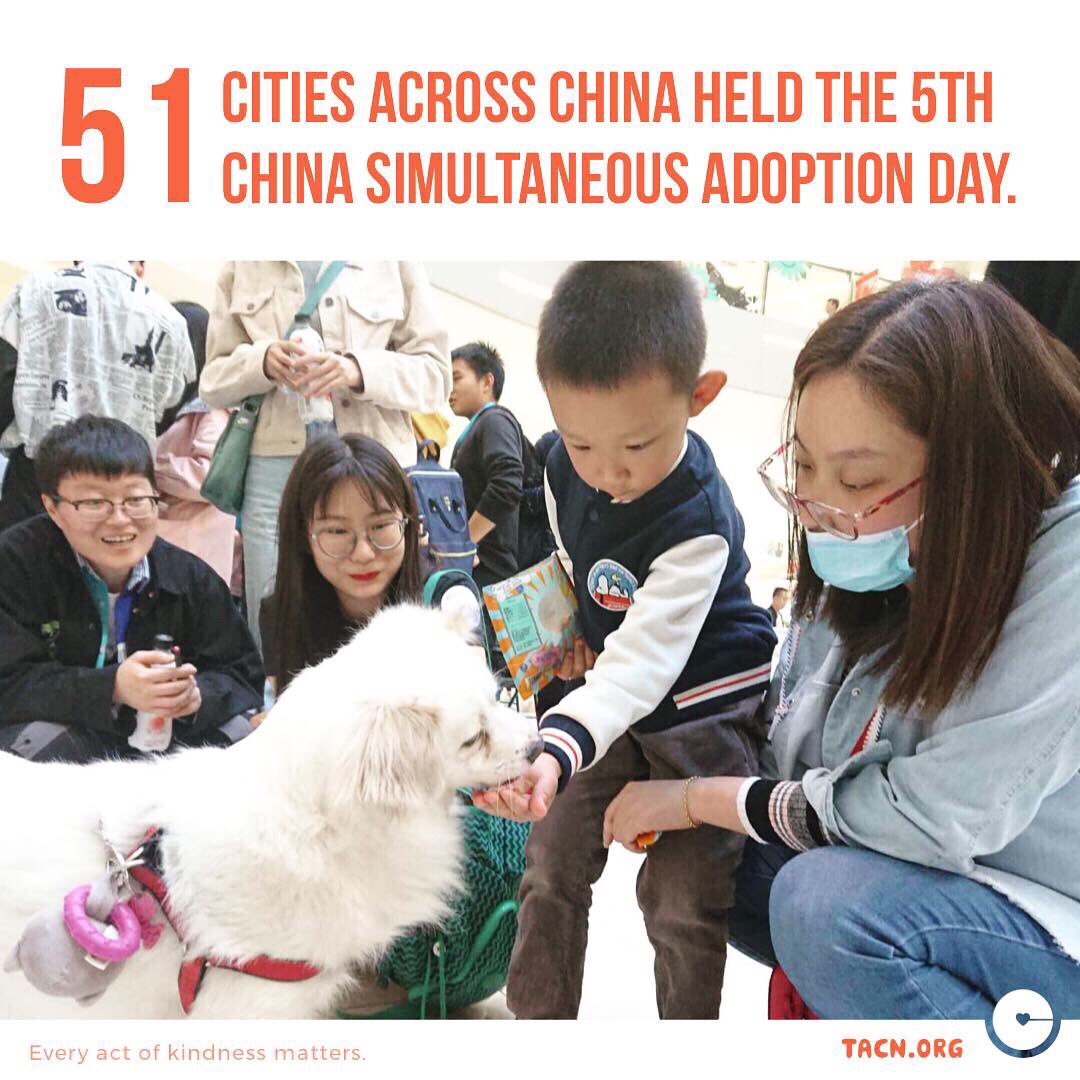 tacnofficial's tweet photo. Isn’t this amazing! The Adoption Day has not only been giving adoptable pets a place to be promoted, it has also been acting as an educational platform for responsible pet ownership in China 🇨🇳
(Source: Xinhua News)
#animalwelfare #china #adoptionday #adoptdontshop #dog #cat https://t.co/Td52GGrOCX
