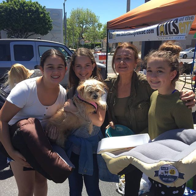 TailsDogRescue's tweet image. We want to Thank Girl Scout Troop 4515 for dropping off all kinds of donations for our Pups!! It&apos;s so much appreciated!!! #girlscoutsrock #girlscouttroop4515 #donationshelp #girlscouts #donatetoday