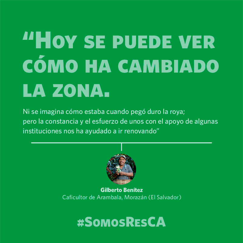 ResilienteCA's tweet photo. ¡Conoce a Gilberto! Una historia de éxito de cultivo y venta de café en #ElSalvador con buenas prácticas agrícolas. Fue impulsado por el proyecto Agricultura Restauradora en Ecosistemas Clave (#RAICES) de #ResCA, @CRSEspanol y #ACUGOLFO: https://t.co/lA20ZxNBPw https://t.co/j3JNSBb87y