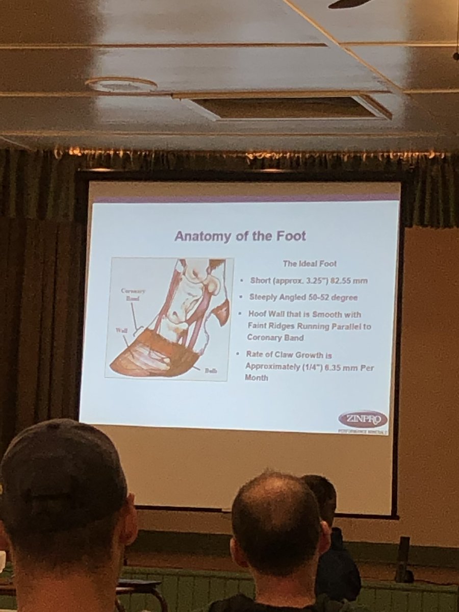 Great meeting today with local dairy farmers; thanks to all who were able to join us!
We talked about hoof health and making great forages. Thanks to <a href="/robinposs/">Robin Poss</a> for an engaging presentation!
#OntAg #HarwilFarms #PurinaProActiv 
<a href="/jeffharwil/">Jeff Barker</a> <a href="/MattGroen/">Matt Groen</a>