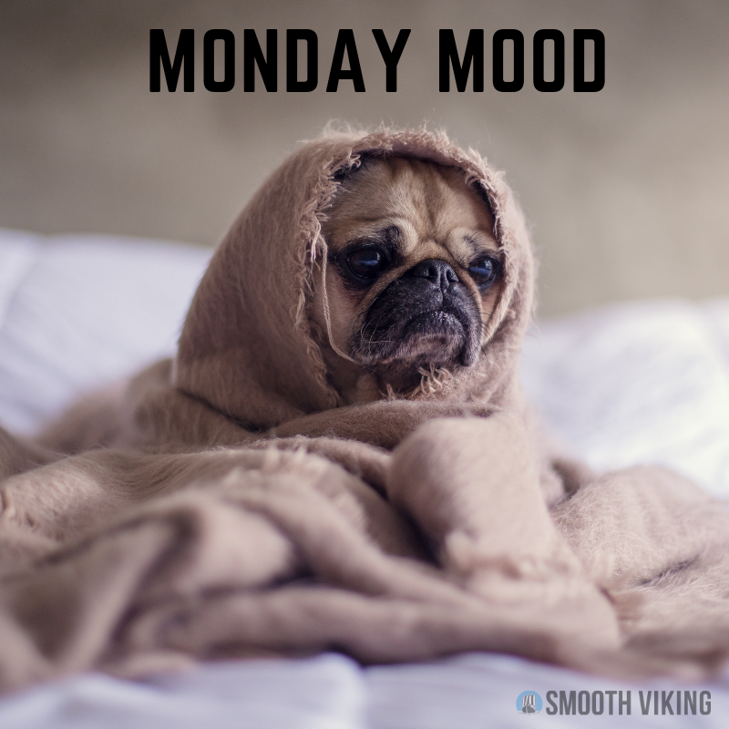 SmoothViking1's tweet photo. Sunday Scaries got us in the Monday Mood. Can we please rewind the weekend? 😩 https://t.co/2Vf6sjQ65C