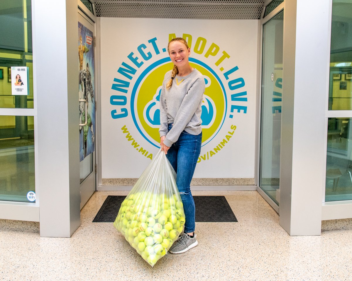 AdoptMiamiPets's tweet photo. Tennis superstar @carowozniacki dropped off bags of tennis balls donated by the @miamiopen here at our Pet Adoption and Protection Center last week. And she hung out and played with several of our dogs who are ready for adoption. #AdoptDontShop #ASDPets https://t.co/lK9HZ582nx