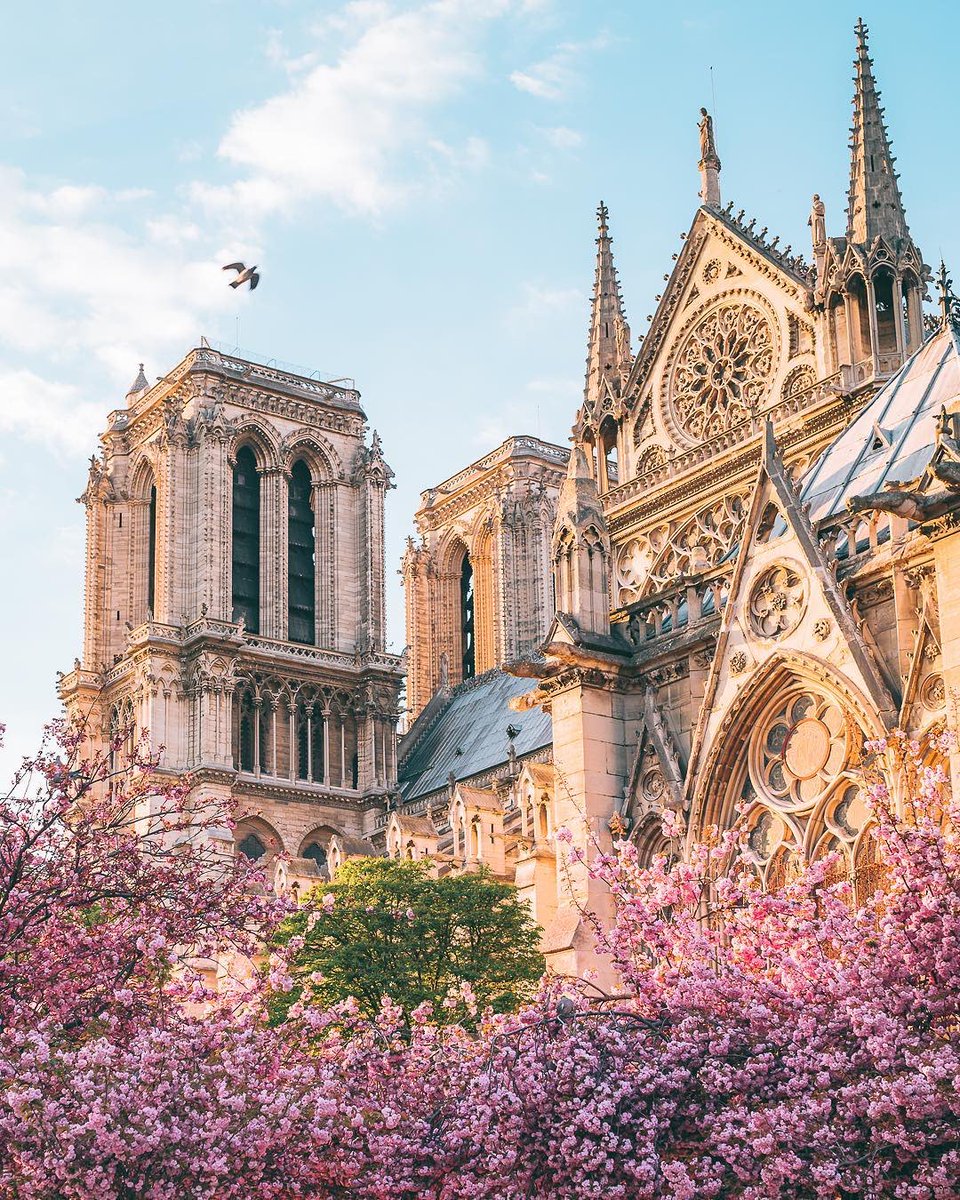 The beautiful Notre Dame Cathedral. The monument’s history, art, and iconic architecture is irreplaceable. The people of Paris, France, and Catholics around the world are in our prayers.🙏#NotreDame (Photos by Oliver Wong)