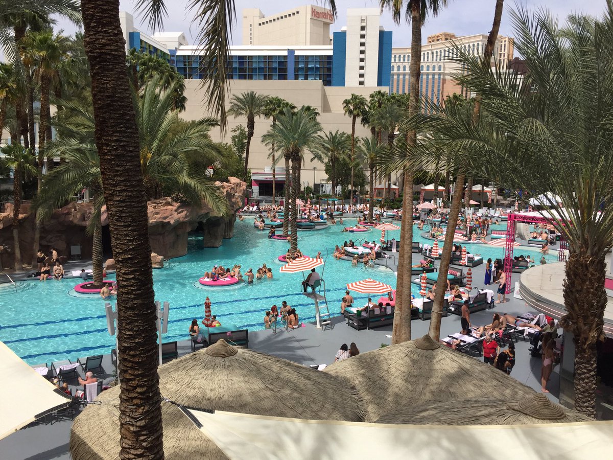 DodgerKnight's tweet photo. I missed you #FlamingoGoPool (@FlamingoVegas) during my #SJSharks 2019 #StanleyCupPlayoffs road trip in #Vegas. #GoPoolVegas is my yard. This is where I spend my afternoons when I visit in the 100+ degree summertime. #SJS24 #StanleyCup #PlayoffMode https://t.co/TDMTzleO6i