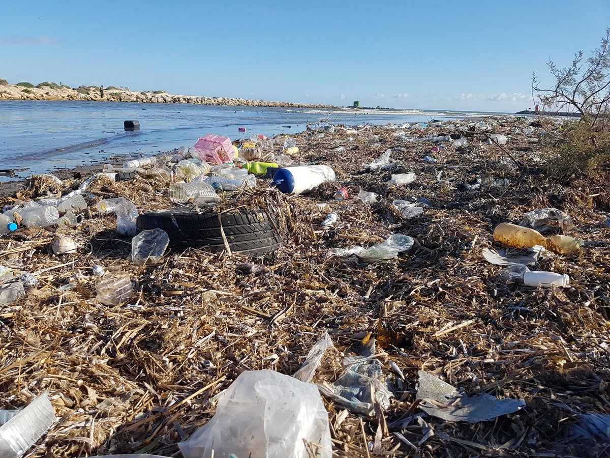 JuliaAlvaroPrat's tweet photo. Mañana, en la #VegaBaja, con @beatriugasco @Estany_ y @DVegara presentamos las propuestas de @Podem_ sobre #MedioAmbiente, con especial atención a la protección del #ríoSegura y #SierraEscalona 

#Avacem #NovaTransicióVerda #LaHistoriaLaEscribesTú @PodemVegaBaja @PodemosOrihuela https://t.co/WqdiMafmOf