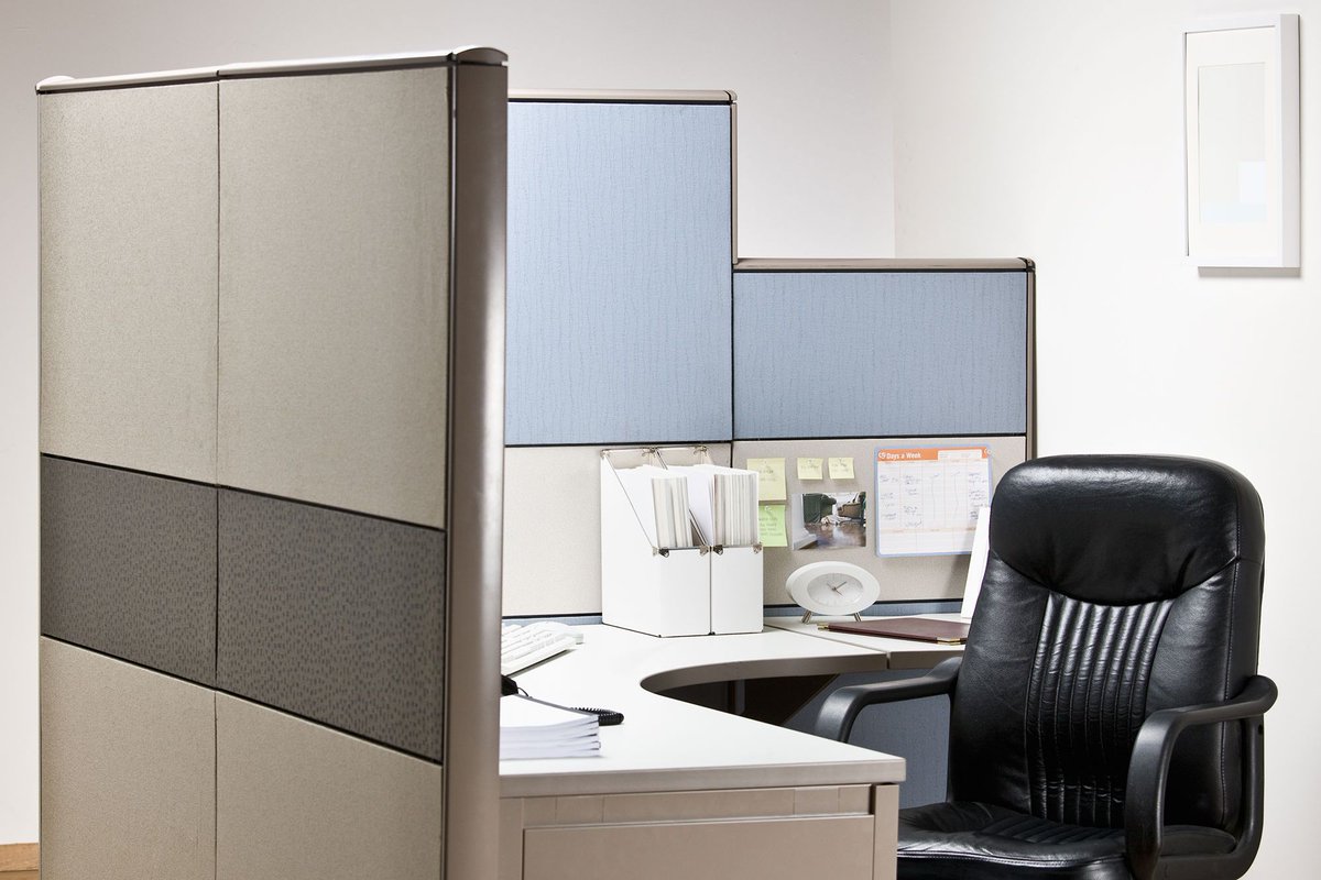 Alpha Male Blueprint tweet media