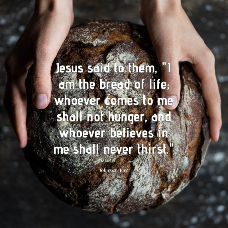 #dailybibleverse John 6:35 ESV