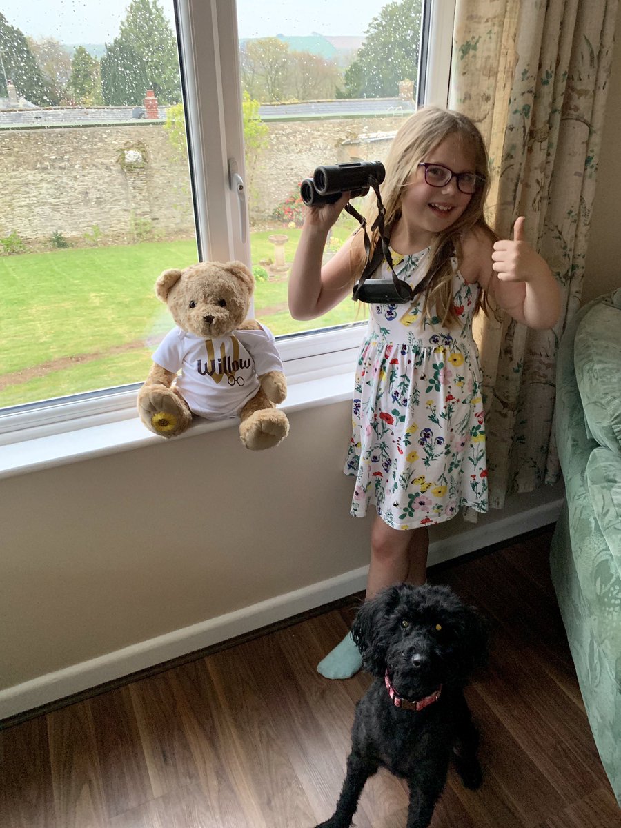 willow_dawes's tweet photo. Willow bear, Rosie &amp; Francesca enjoying our cottage in Devon 💖 https://t.co/l2eX9XnmUC