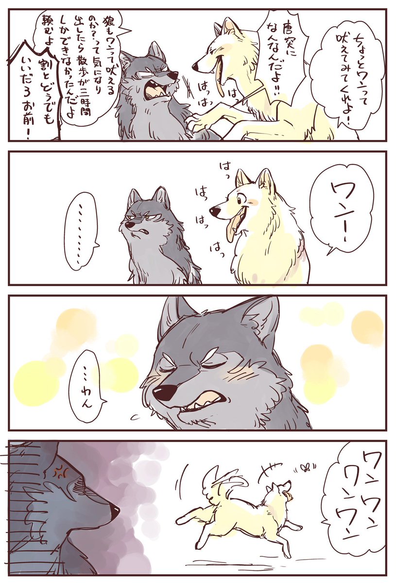 狼と犬②

#こりせんまん 