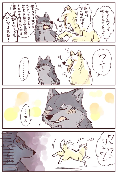 狼と犬②

#こりせんまん 