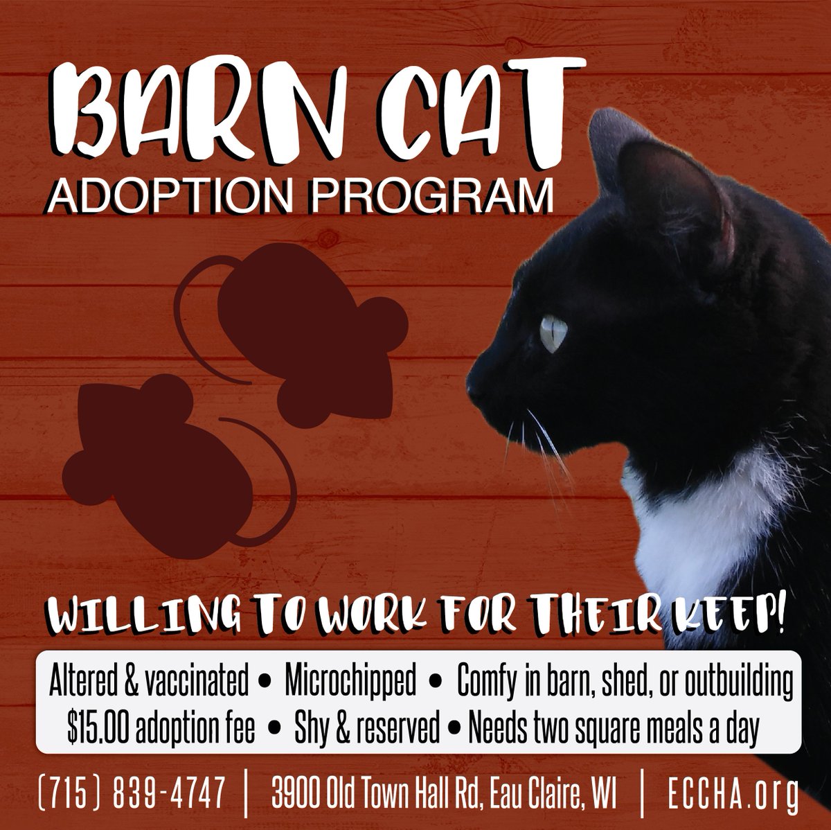 Attention: Barn Cat Adopters Needed! 
Please visit: eccha.org/adopt/adopt_a_… to submit an adoption application.